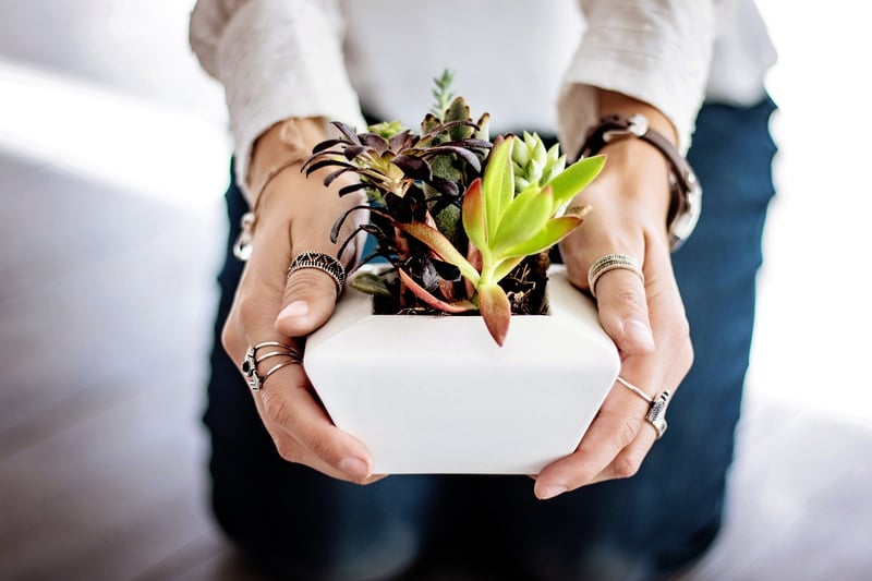 DIY Planters